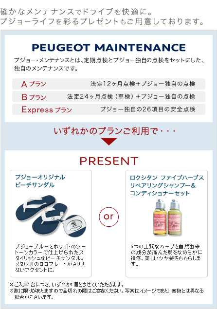 プジョー・メンテナンスキャンペーン_セクション2