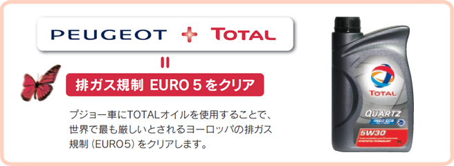 Earth ECO10 Project セクション3