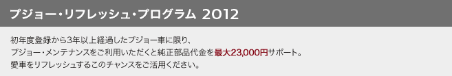 プジョー・メンテナンスキャンペーン　セクション3