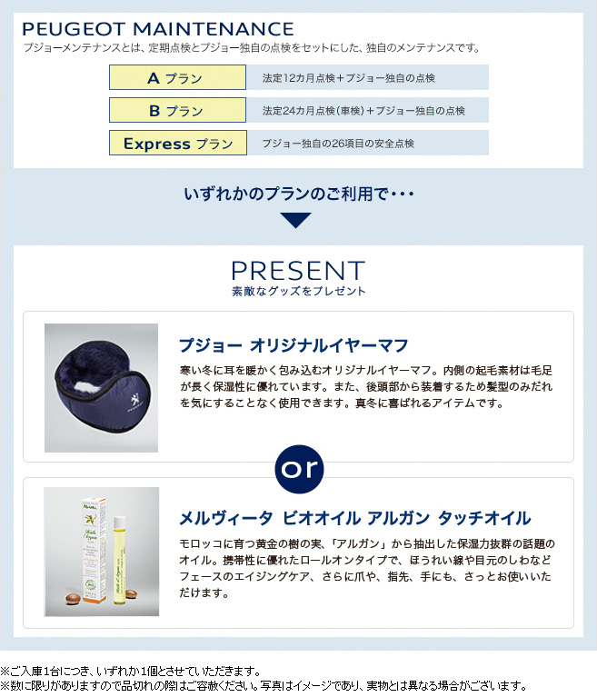 プジョー・メンテナンスキャンペーン　セクション2 