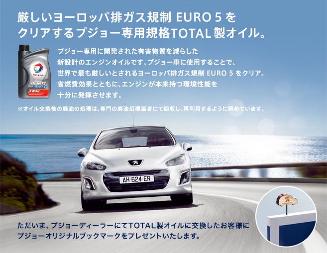 Earth ECO10 Project_セクション3_日付なし