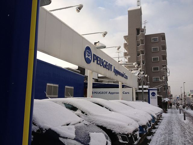 ドカ雪