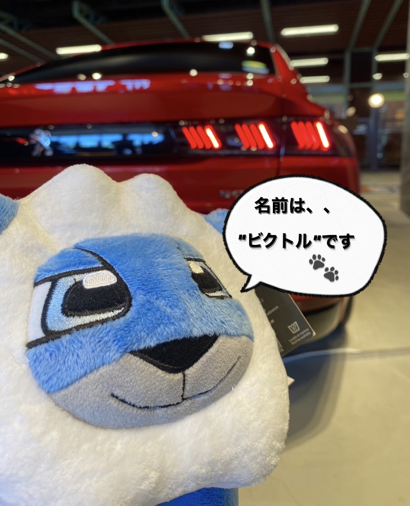 【　“　ビクトル君　”のご紹介🐾🦁　】