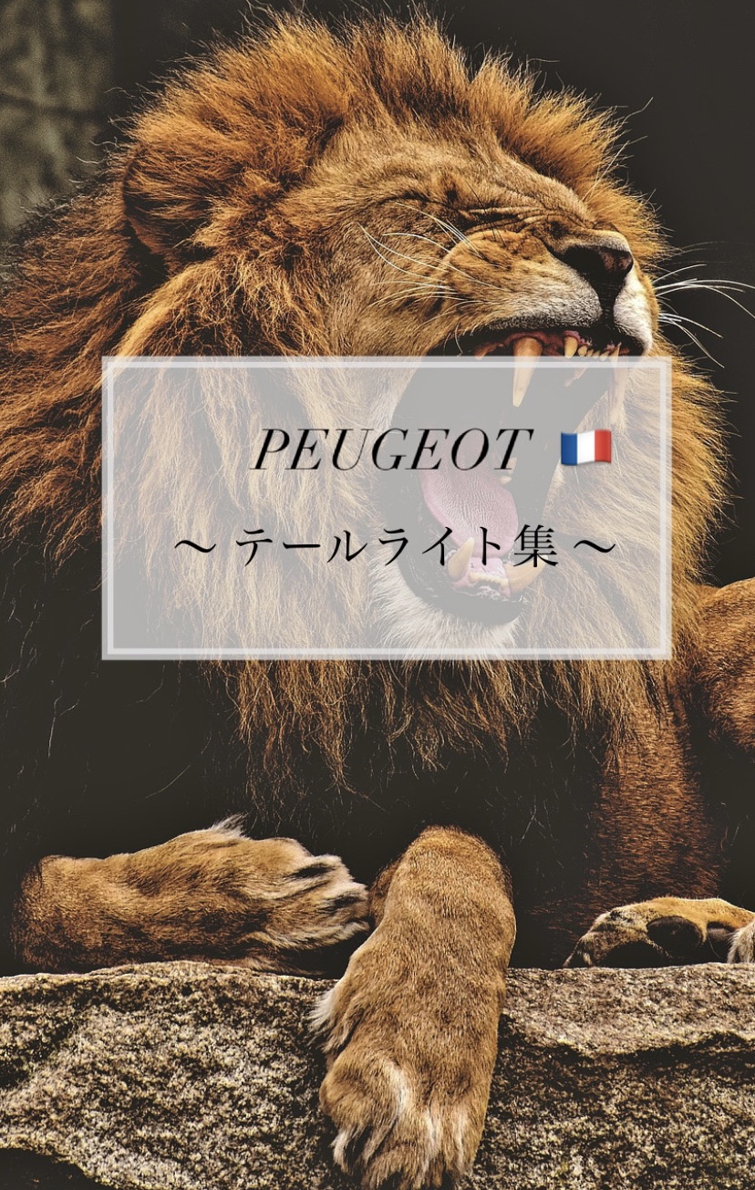 【　PEUGEOT　テールライト集🐾　】