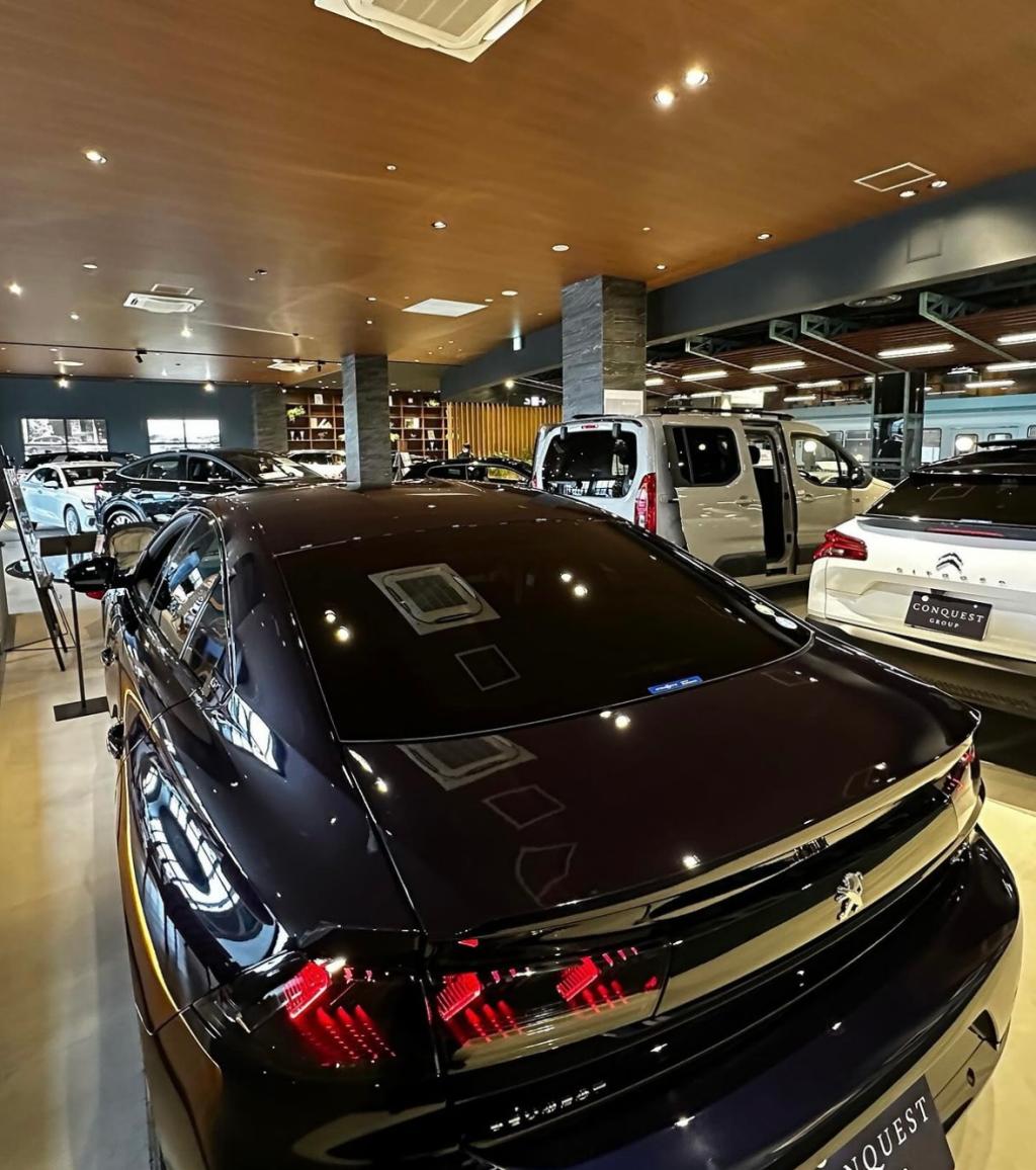 【　弊社ユーザー様にご案内🐾　】