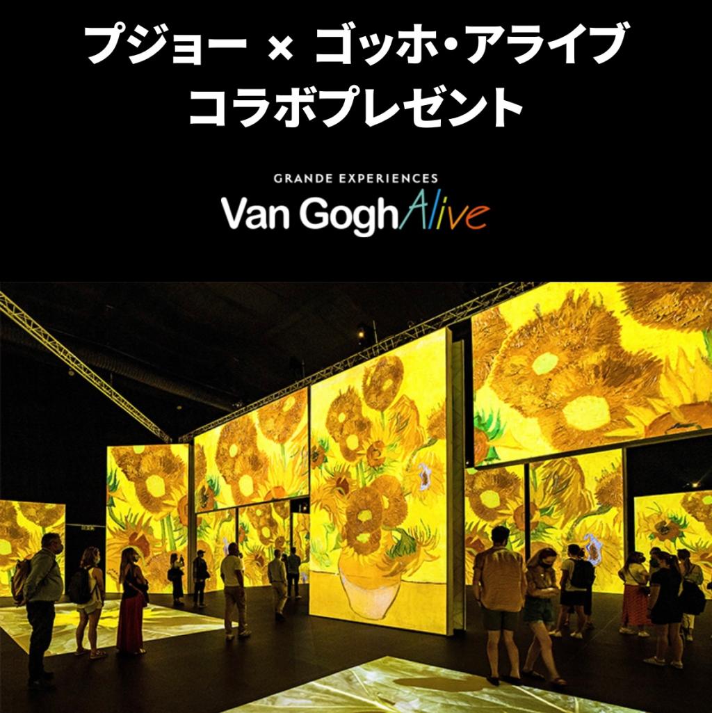 【　ALLURE EXPERIENCEキャンペーン🐾　】