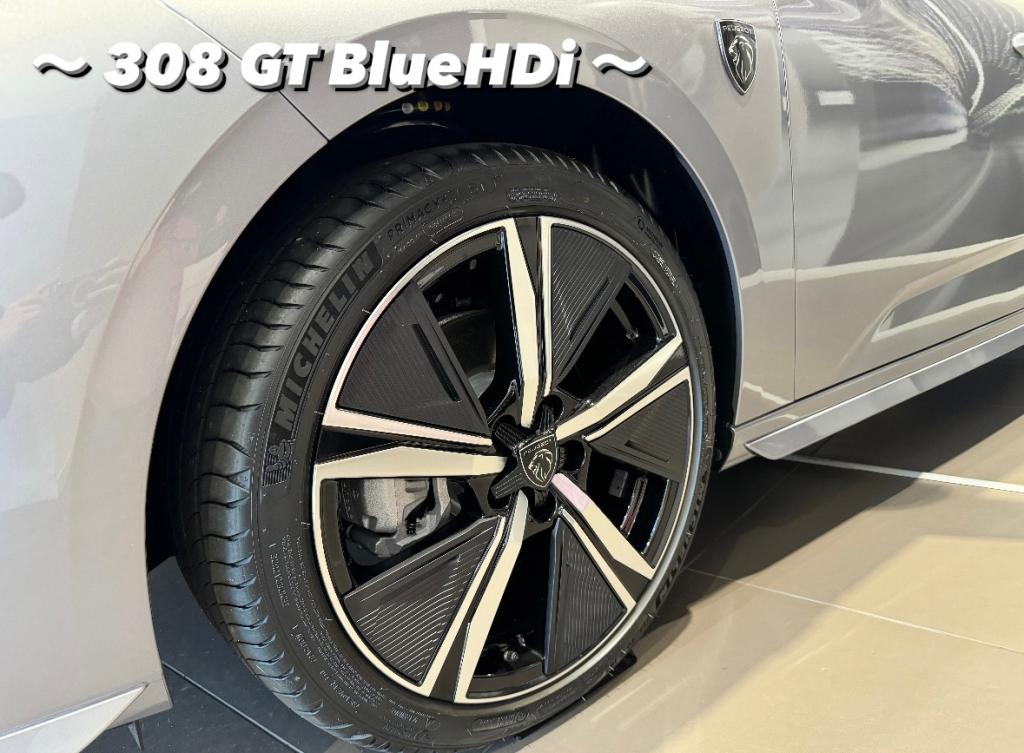 【　PEUGEOT　ホイールデザイン集🐾　】