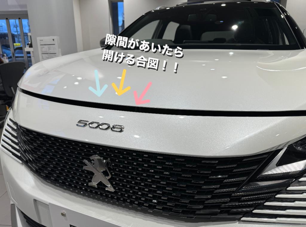 【　ボンネットの開け方🐾　】