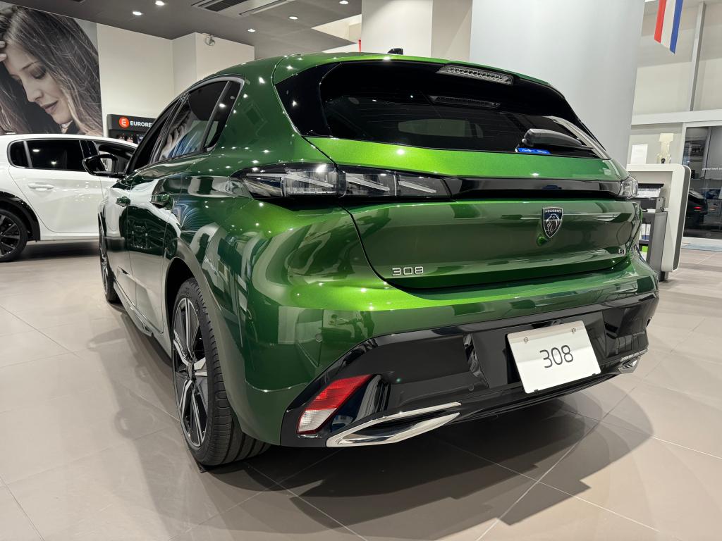 【　展示車入れ替えのお知らせ🐾　】