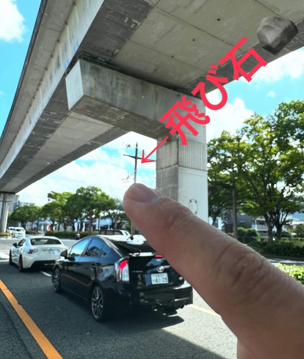 【　飛び石について🐾　】