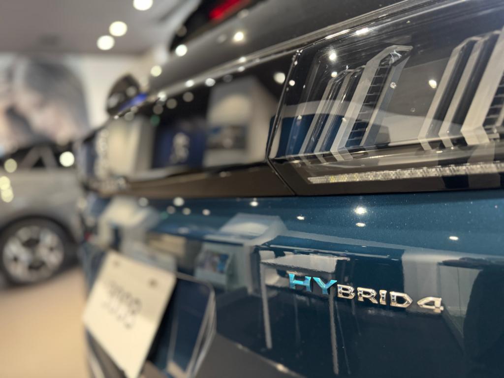 【　展示車入れ替えのお知らせ🐾　】