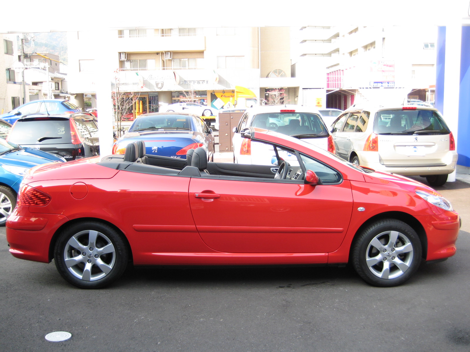 認定中古車６台入荷！