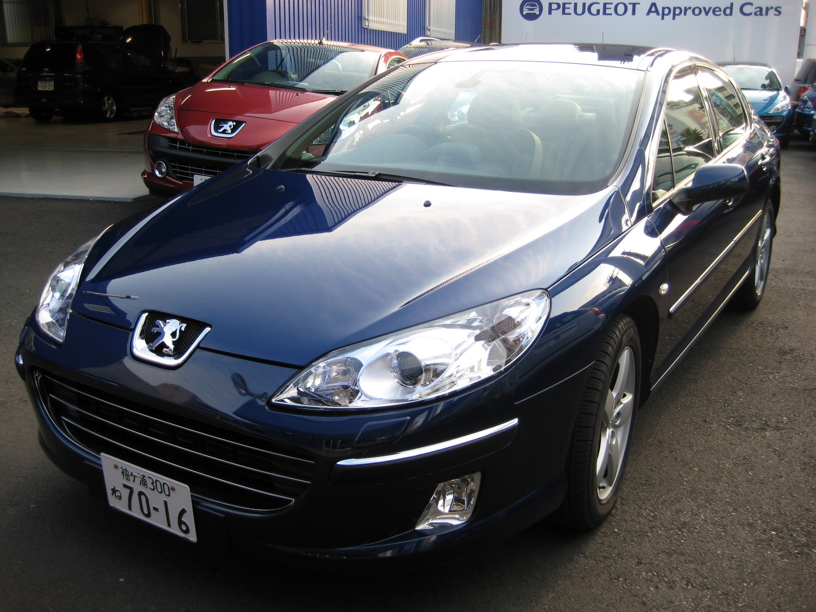 認定中古車６台入荷！