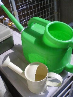 我が家の夏