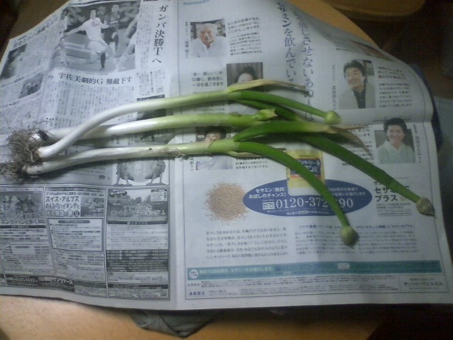体にいい食材