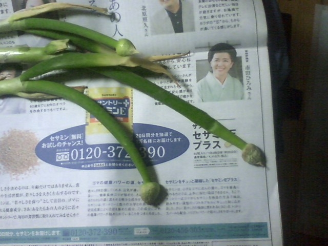 体にいい食材