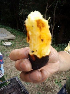 BBQ