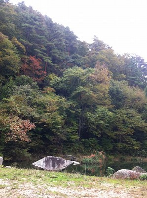 紅葉狩り