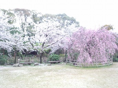 縮景園