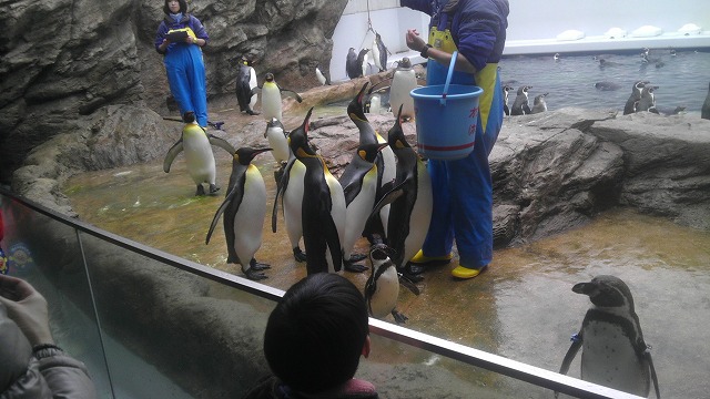 水族館「アクアス」