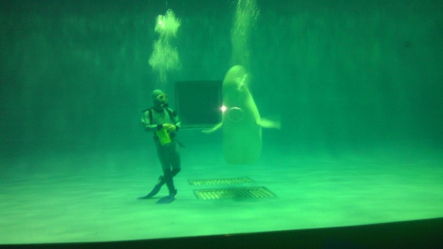 水族館「アクアス」