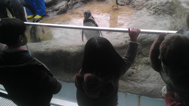 水族館「アクアス」