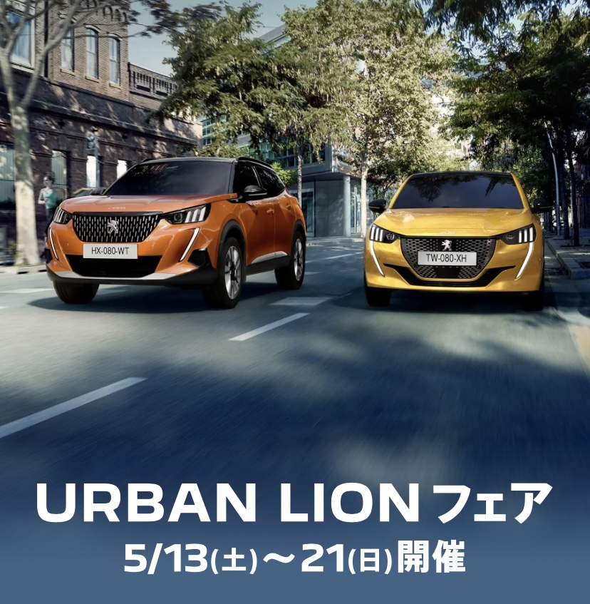 \  URBAN　LIONフェア開催 🦁 /