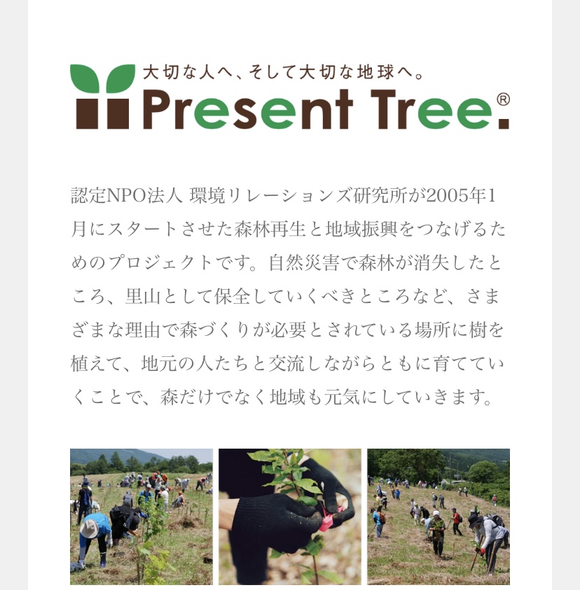 【　🌱森を育てるプロジェクト🌱　】