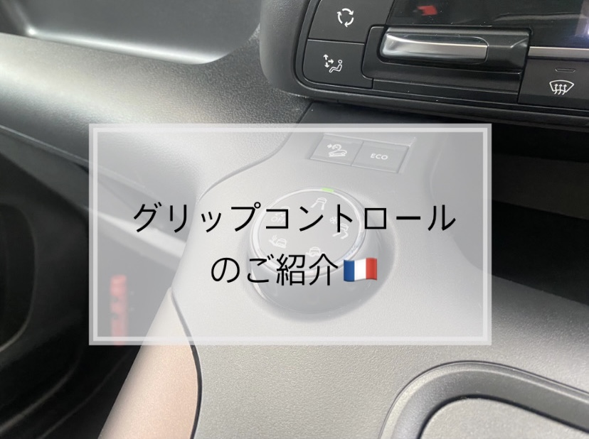 【　グリップコントロールのご紹介🐾　】