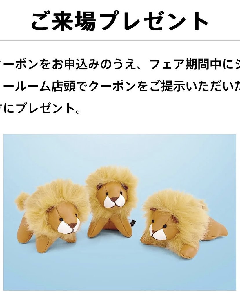 【　LITTLE LIONフェア　開催のお知らせ🐾　】