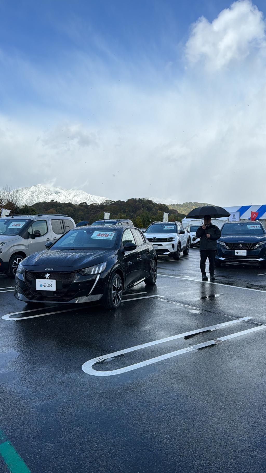 【　中古車フェア開催中🐾　】