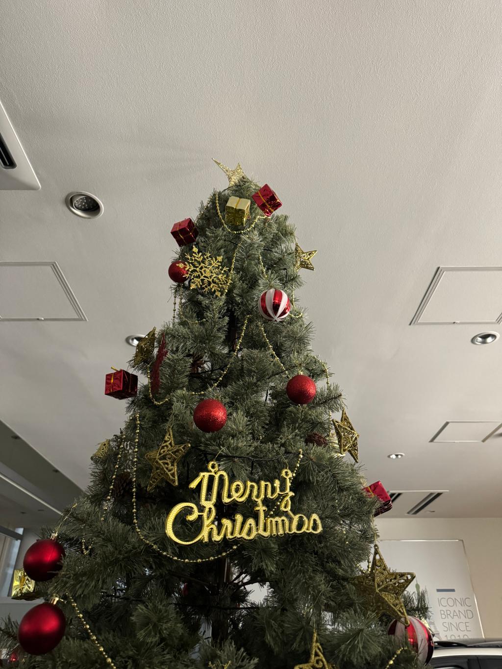 【　クリスマスツリー設置しました🎄　】