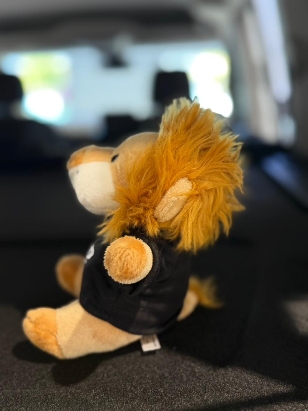 ショールームに可愛い仲間がやってきました！マスコットライオン新発売🦁✨