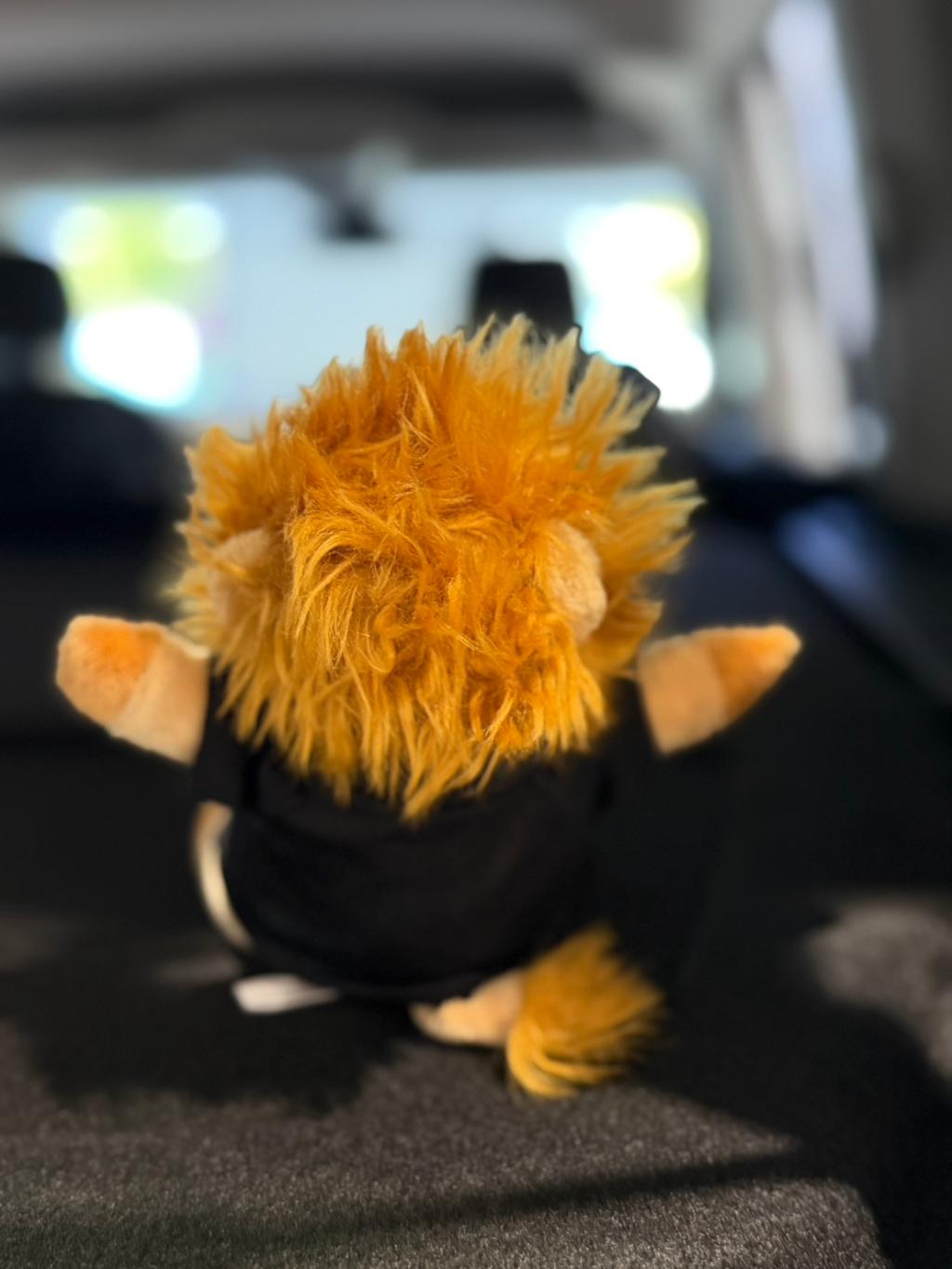 ショールームに可愛い仲間がやってきました！マスコットライオン新発売🦁✨